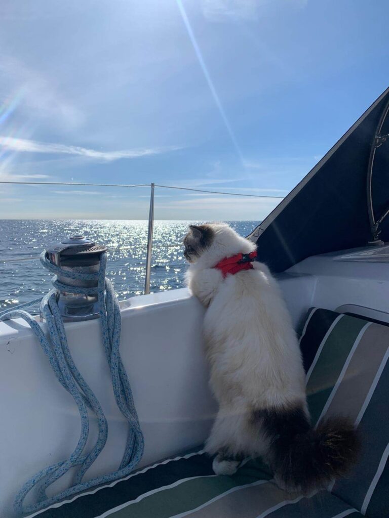 Le farniente sur un voilier